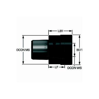 サンドビック（株） キャプト ERコレットチャック C4-W-391.14 キャプト　ＥＲコレットチャック　【Ｅ】 C4-W-391.14-25035-A
