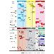 住友電気工業（株） スローアウェイチップ TNMG-EM スローアウェイチップ TNMG160408N-EM AC6020M