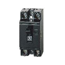 パナソニック（株）　電材 安全ブレーカHB型2P1E20AT BS1112