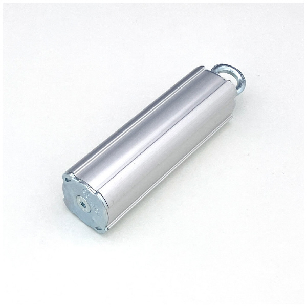 ＴＭＥＨジャパン（株） ウエイト WT ウエイト　１０００ｇ WT-4310