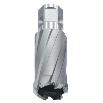 育良精機（株） ボアアップカッター ISK-BUC ボアアップカッター ISK-BUC220