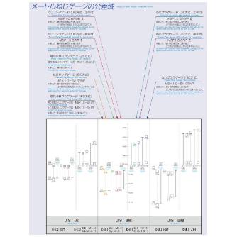 （株）アイゼン スチール限界ねじプラグゲージ SPM GPNP スチール限界ねじプラグゲージ SPM GPNP 6H M7 X1