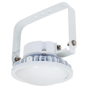 日動工業（株） 施設用LED L100B 施設用ＬＥＤ L100B-P-HM110-50K