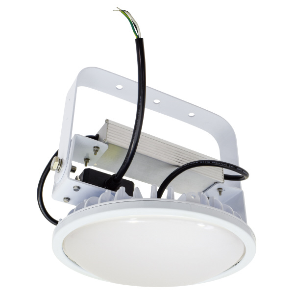 日動工業（株） 施設用LED L100V2 施設用ＬＥＤ L100V2-P-HMW-50K