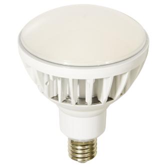 日動工業（株） LED交換球 L50V2 ＬＥＤ交換球 L50V2-J110W-50K
