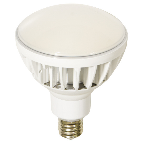日動工業（株） LED交換球 L50V2 ＬＥＤ交換球 L50V2-J110W-50K