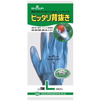 ショーワグローブ（株） ピッタリ背抜き NO260 ピッタリ背抜き　Ｌサイズ NO260-L