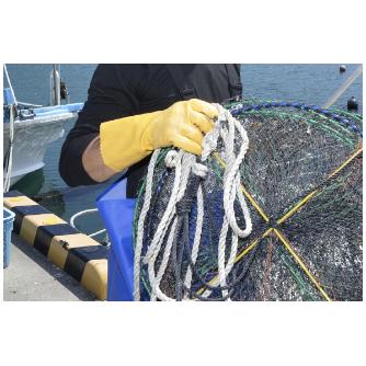 ショーワグローブ（株） 水産ニトローブ30 NO771 水産ニトローブ３０　Ｌサイズ NO771-L