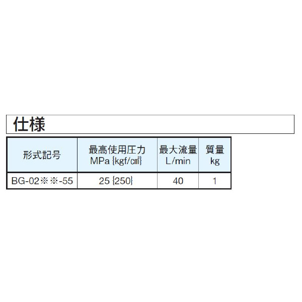 ダイキン工業（株） 圧力取出用ブロック BG 圧力取出用ブロック BG-02PT-55