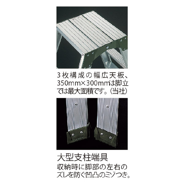 長谷川工業（株） 専用脚立 SWH 専用脚立 SWH-12