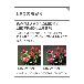 パナソニック（株）　電材 LEDベースライト LGB ＬＥＤベースライト LGB52110LE1