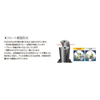 サンドビック（株） コロドリルDS20 【F】 DS20 コロドリルＤＳ２０　【Ｆ】 DS20-D1500L20-04