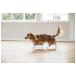 (株)ピカコーポレイション 犬用オールシーズンブーツ パウテクト PAWA 犬用オールシーズンブーツ パウテクト PAWA-3SB