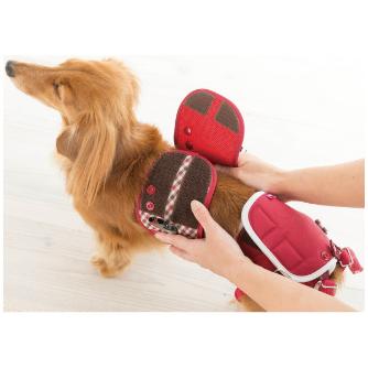 （株）ピカコーポレイション 専用ハーネス DGS-H 専用ハーネス DGS-H1RDT