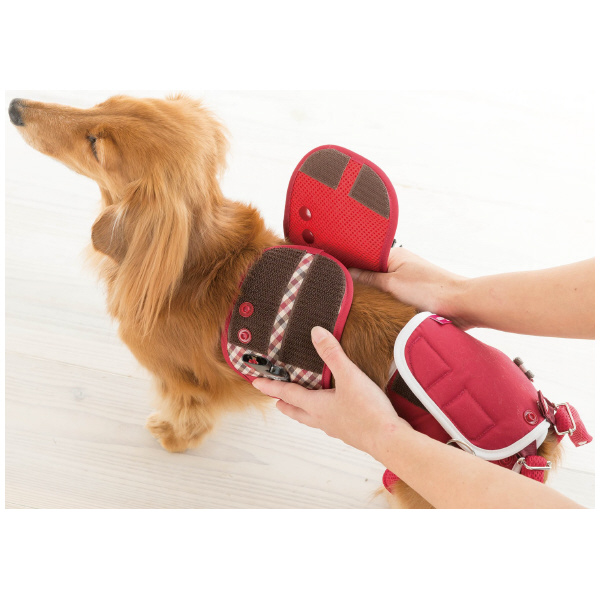 （株）ピカコーポレイション 専用ハーネス DGS-H 専用ハーネス DGS-H1RDT