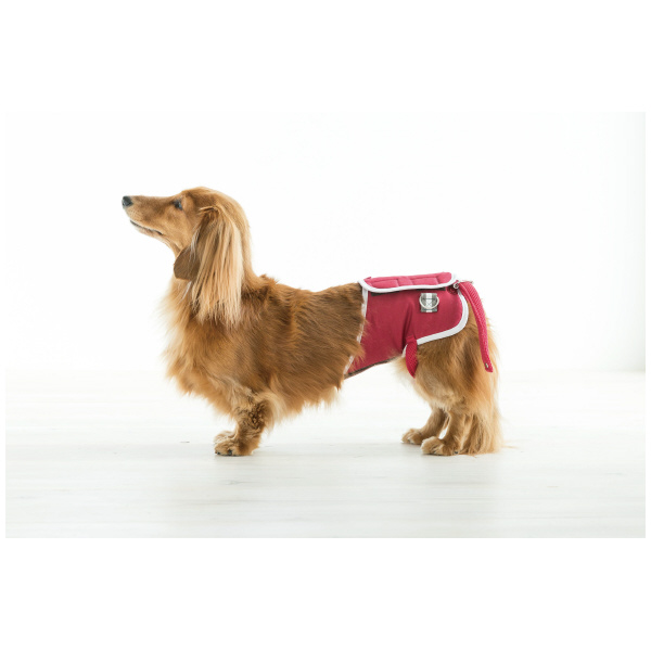 （株）ピカコーポレイション 専用ハーネス DGS-H 専用ハーネス DGS-H2RDT