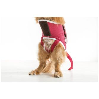 （株）ピカコーポレイション ドギーサポーターS＋専用ハーネス DGS-SH ドギーサポーターＳ＋専用ハーネス DGS-SH1RDT