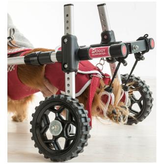 （株）ピカコーポレイション ドギーサポーターS＋専用ハーネス DGS-SH ドギーサポーターＳ＋専用ハーネス DGS-SH2RDT
