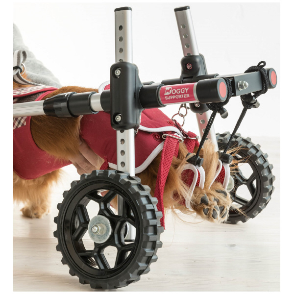 （株）ピカコーポレイション ドギーサポーターS＋専用ハーネス DGS-SH ドギーサポーターＳ＋専用ハーネス DGS-SH2RDT