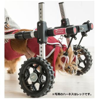 （株）ピカコーポレイション ドギーサポーターS＋専用ハーネス DGS-SH ドギーサポーターＳ＋専用ハーネス DGS-SH1LUT