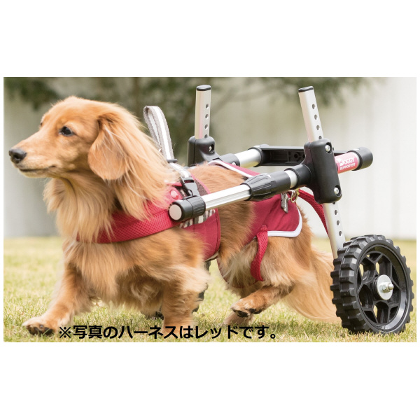 （株）ピカコーポレイション ドギーサポーターS＋専用ハーネス DGS-SH ドギーサポーターＳ＋専用ハーネス DGS-SH2LUT