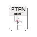 住友電気工業（株） SEC-外径バイト ホルダ PTFN ＳＥＣ－外径バイト　ホルダ PTFNL1616H16