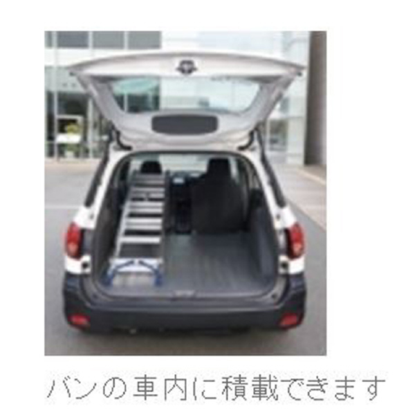 （株）ピカコーポレイション プッシュアップ式2連はしご 2SWA プッシュアップ式２連はしご 2SWA-40B