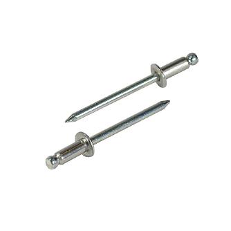 （株）ロブテックス リベット/150 NSS リベット（１５０本入） NSS66EB