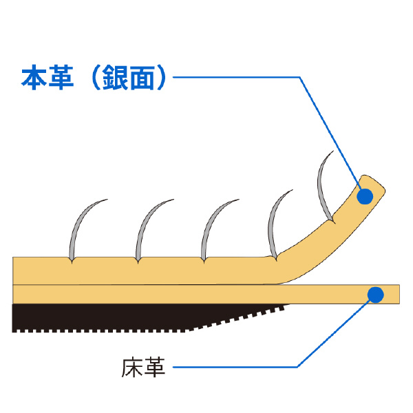 （株）シモン 牛床革手袋 107AP 牛床革手袋 107AP LL
