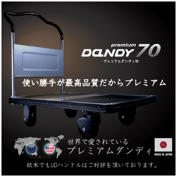 花岡車輌（株） プレミアムダンディGS PDA プレミアムダンディＧＳ PDA-LSC-GS