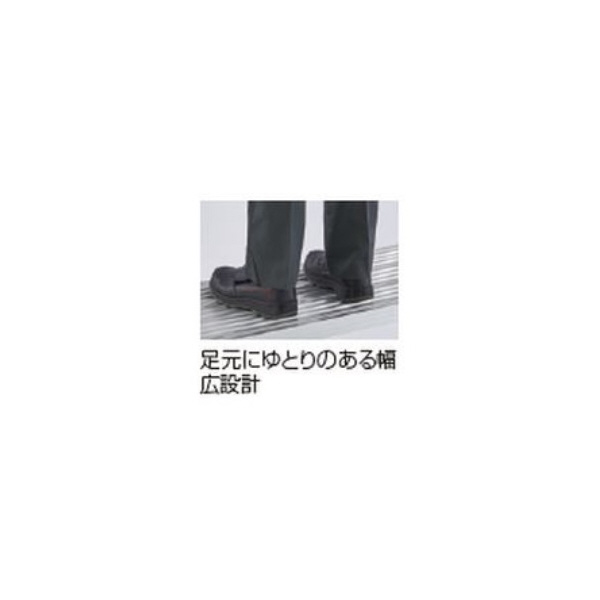 長谷川工業（株） 脚部伸縮足場台 DRHW 脚部伸縮足場台 DRHW-1000
