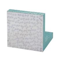 大西測定（株） 溝なしベタイケール 166B