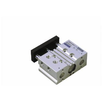 日本精器（株） ツインガイドシリンダ BN-6AK23-12 ツインガイドシリンダ BN-6AK23-12-100-PE