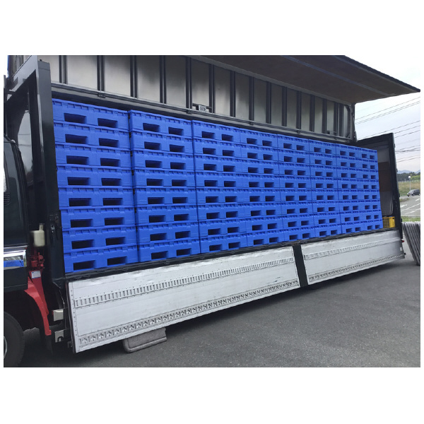 三甲（株） コンパレッター コンパレッター（フタセット） 806640-01 F#1000-2B Lｸﾞﾚｰ/ﾌﾞﾙｰ