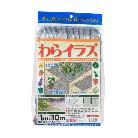 （株）イノベックス ダイオわらイラズ