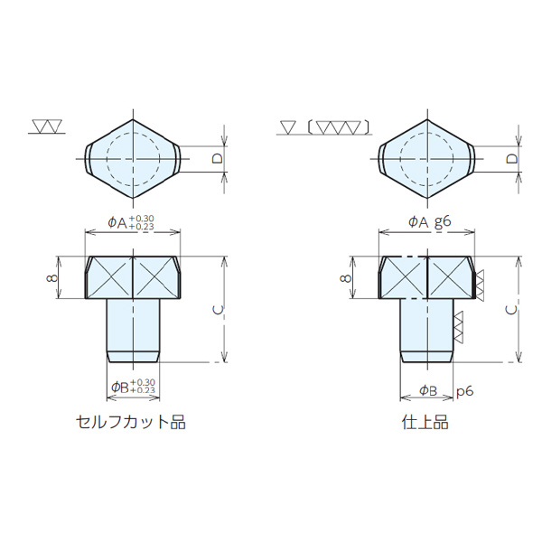 （株）ナベヤ ロケーティングピン B型 LP ロケーティングピン　Ｂ型 LP253