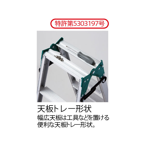 長谷川工業（株） はしご兼用脚立 RS2.0 はしご兼用脚立 RS2.0-09