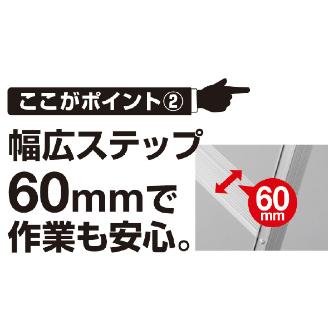 長谷川工業（株） はしご兼用脚立 RYZ1.0 はしご兼用脚立 RYZ1.0-09