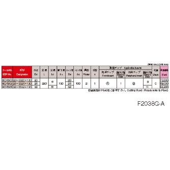 オーエスジー（株） WALTER グラファイト用ポーキュパインカッタ ポーキュパインカッタ F2038G 20XSS20X130