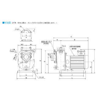 （株）寺田ポンプ製作所 陸上ポンプ(鋳鉄製) MP 陸上ポンプ（鋳鉄製） MP2N-0021R 50HZ