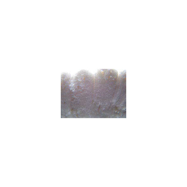 柳瀬（株） SG ネルディスク ＳＧ　ネルディスク SG-NND100 100X15