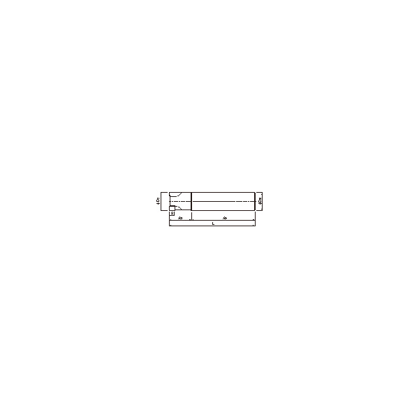 オーエスジー（株） WALTER ポジティブエンドミルストレートシャンクタイプ ポジティブミル F4042-08 20XSS20 X200