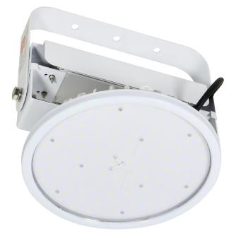 日動工業（株） 施設用LED L100V2 施設用ＬＥＤ L100V2-P-HW-50K-SAL