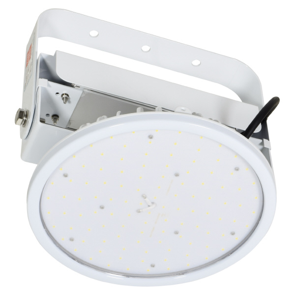 日動工業（株） 施設用LED L100V2 施設用ＬＥＤ L100V2-P-HW-50K-SAL