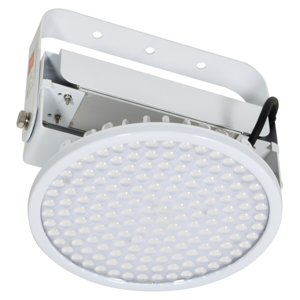 日動工業（株） 施設用LED L100V2 施設用ＬＥＤ L100V2-P-HS-50K-SAL