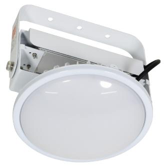 日動工業（株） 施設用LED L100V2 施設用ＬＥＤ L100V2-P-HMW-50K-SAL