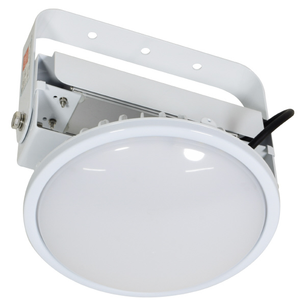 日動工業（株） 施設用LED L100V2 施設用ＬＥＤ L100V2-P-HMW-50K-SAL