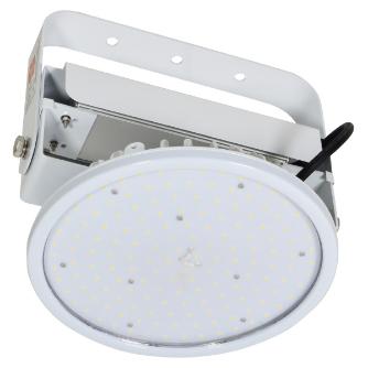 日動工業（株） 施設用LED L150V2 施設用ＬＥＤ L150V2-P-HW-50K-SAL