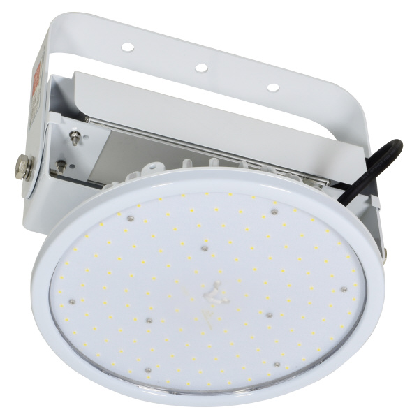 日動工業（株） 施設用LED L150V2 施設用ＬＥＤ L150V2-P-HW-50K-SAL