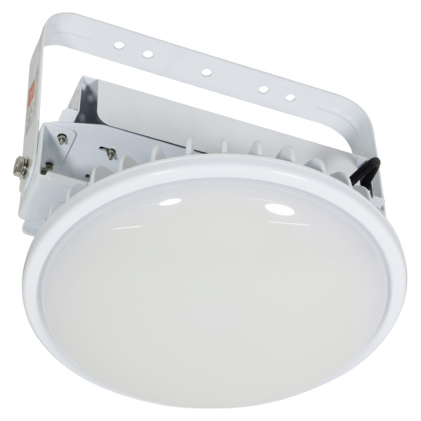 日動工業（株） 施設用LED L200V2 施設用ＬＥＤ L200V2-P-HMW-50K-N-SAL